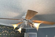 Ceiling fan light for sale  CLEETHORPES