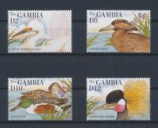 LR43077 Gambia patos animales aves lote fino montado sin montar o nunca montado segunda mano  Embacar hacia Argentina