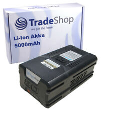 Ion battery 80v for sale  Shipping to Ireland