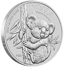 2024 australia koala for sale  Sugar Land