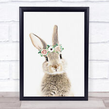 Bunny rabbit flowers for sale  UK