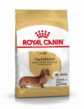 Royal canin bassotto usato  Carate Brianza