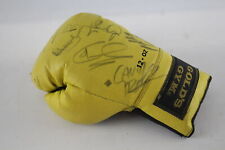 Joe calzaghe boxing for sale  Shipping to Ireland