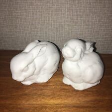 Pair rabbit bunny for sale  New Vienna