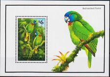 Dominica 1993 pappagalli usato  Trambileno