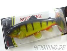 Castaic swim bait gebraucht kaufen  Lauf a.d.Pegnitz