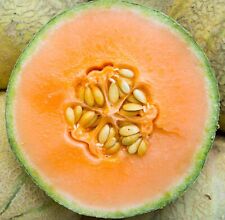 Honeydew melon seeds for sale  Minneapolis