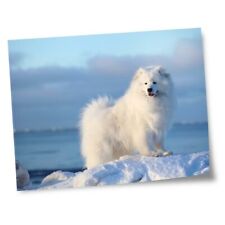 8x10 prints samoyed for sale  SELBY