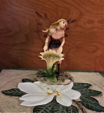 Fairy fantasy faerie for sale  San Angelo