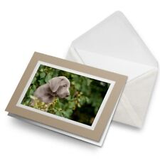 Greetings card weimaraner for sale  SELBY