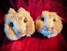 Adorable professional pair for sale  TELFORD
