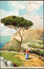 Capri panoramic view. for sale  Hove