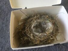 garden birds nests for sale  HAVANT