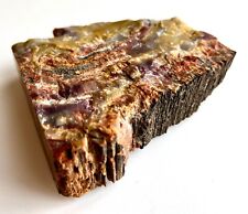 Large petrified wood for sale  Schenectady