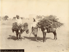 Algérie alger marchands d'occasion  Pagny-sur-Moselle