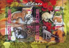 Cat stamp tonkinese d'occasion  Expédié en Belgium