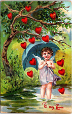 Postcard valentine cherub for sale  Norman