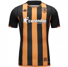 Hull city home for sale  CHELTENHAM