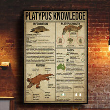 Platypus knowledge canvas for sale  Chicago