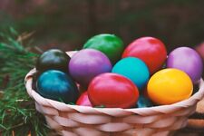 8 Colores Huevos de Pascua Tinte Pintura Decoración Artesanía Colorear Arte segunda mano  Embacar hacia Argentina