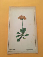 1878 botanique pratique d'occasion  Expédié en Belgium