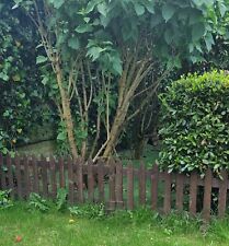 Wooden fence for sale  ASCOT