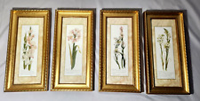Carol Robinson Art Lot of 4 Framed Flower Prints Amaryllis Ornithogalum Tuberose for sale  Shipping to South Africa