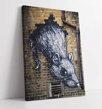 Cool rat wall for sale  LONDONDERRY