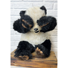 Giant panda posible for sale  Geneseo