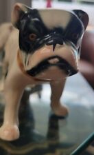 Black white bulldog for sale  Dunedin