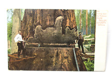 Old growth redwood for sale  Santa Rosa