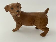 norfolk terrier for sale  STANFORD-LE-HOPE