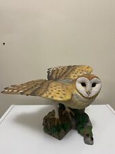 Barn owl ann for sale  Shipping to Ireland