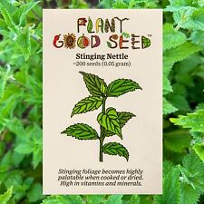 Stinging nettle seeds for sale  USA