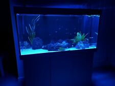 Tropical fish tank for sale  DUNSTABLE