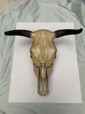 bulls head for sale  Marshall