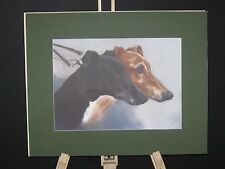 Coursing hunting greyhounds for sale  DUNMOW