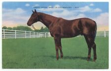 Postal de lino caballo ganador de la carrera 1931 de 1931 ganador de la carrera del derby Twenty Grand Kentucky, usado segunda mano  Embacar hacia Argentina
