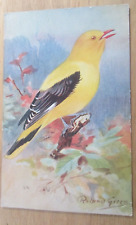Bird postcard artist for sale  TORQUAY