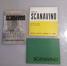 Scanavino sono galleria usato  Zeccone