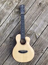Anuenue moonbird ukulele gebraucht kaufen  Regensburg