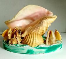 Vintage conch seashell for sale  Fernandina Beach