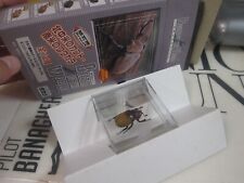 TAKARA - Beetle of the World 5 - Megasoma elephas - female - Mini Figure - R76 for sale  Shipping to South Africa