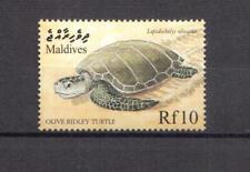 Usado, Maldivas 1999-Turtle Olive Ridley - 1 Sello Temático de serie como Nuevo Nunca con Bisagras ** segunda mano  Embacar hacia Spain