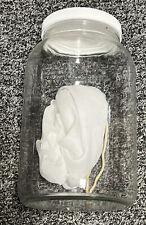 Gallon glass kombucha for sale  Saint Louis