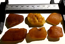 Genuine baltic amber for sale  GLASGOW
