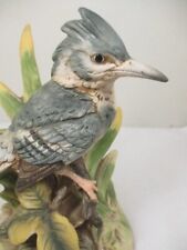 Vintage belted kingfisher for sale  Franklin