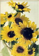 Sunflower photo wooden for sale  Corning