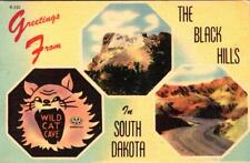 Cartão postal de linho SD, Dakota do Sul BLACK HILLS Greetings WILD CAT CAVE ca1940's comprar usado  Enviando para Brazil