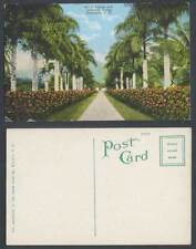 EUA Havaí Honolulu T.H. Cartão postal Royal Palms hibisco sebe palmeira cor antiga comprar usado  Enviando para Brazil